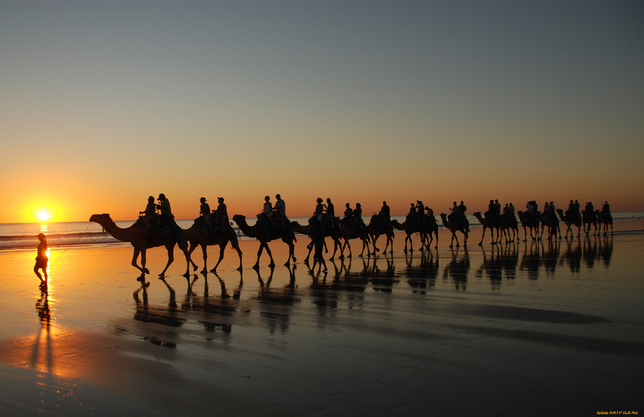 Караван регистрация. Верблюд в пустыне. Верблюды Караван. Караван верблюдов в пустыне. Пустыня Караван верблюдов на закате.